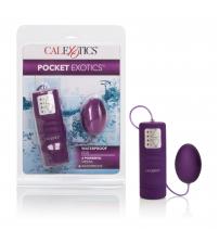 Waterproof Pocket Exotics Waterproof  Egg - Purple