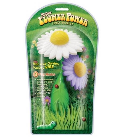 Super Flower Power 2 Piece Bouquet