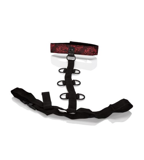 Scandal Collar Body Restraint