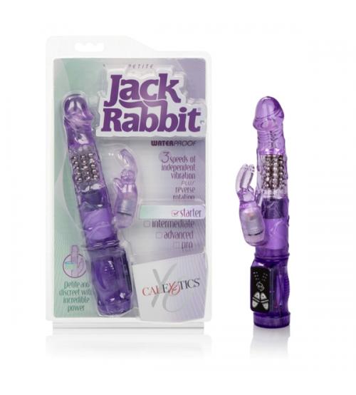 Petite Jack Rabbit - Purple