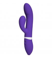 Ivibe Select - Icome - Purple