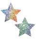 Super Sparkle Roc Kandi Chunky Rainbow Glitter  Starry Nights Nipztix Pasties
