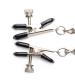 Titty Taunter Nipple Clamps With Weighted Bead